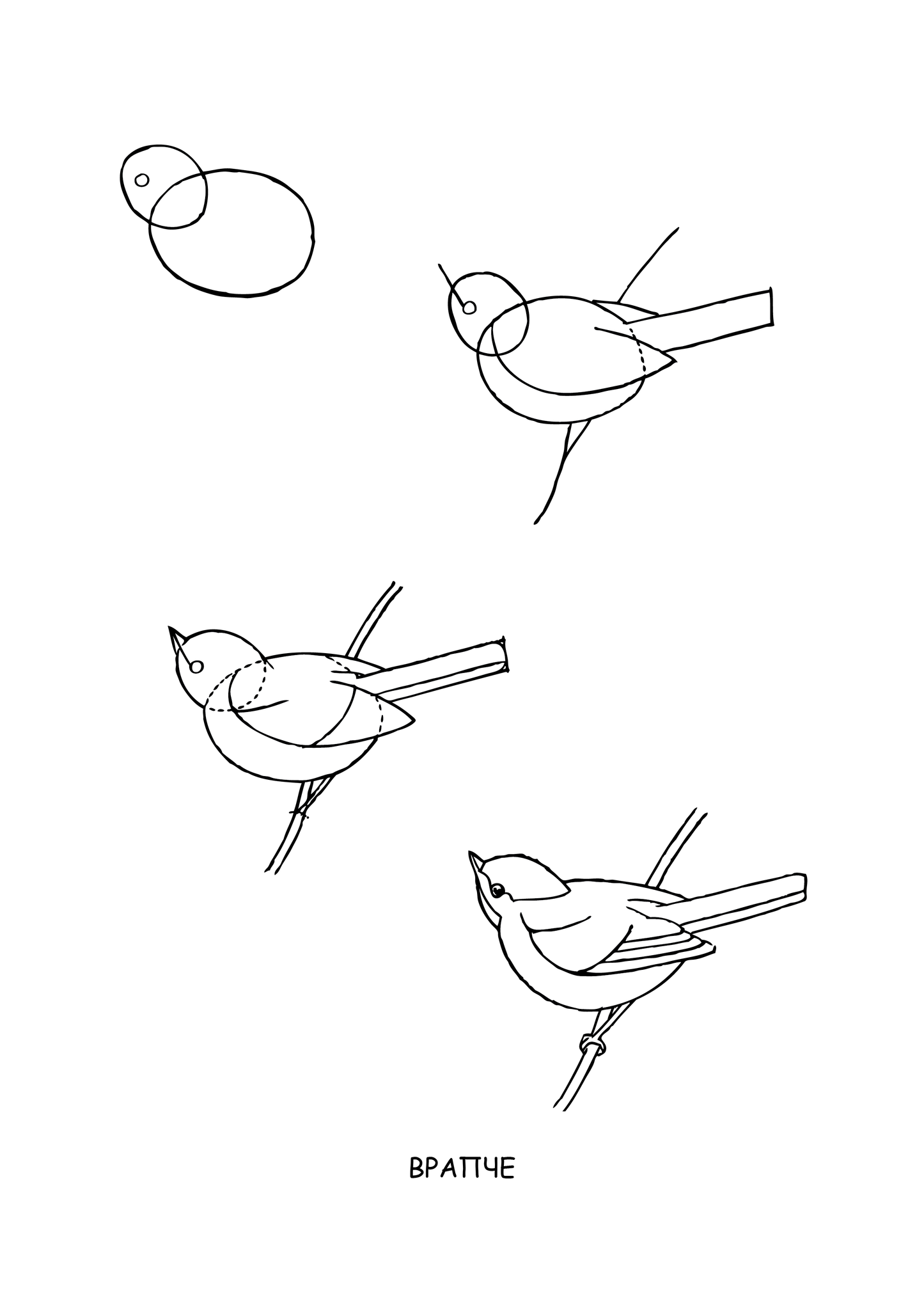 АЈДЕ ДА ЦРТАМЕ - ЖИВОТНИ чекор по чекор - Динара Силверстова