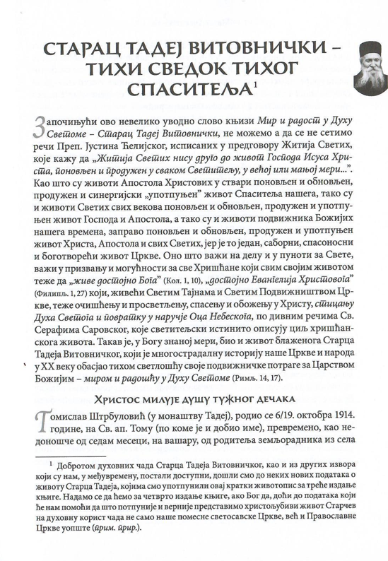 Mir i radost u Duhu svetom, tadej vitovnički odlomak iz knjige