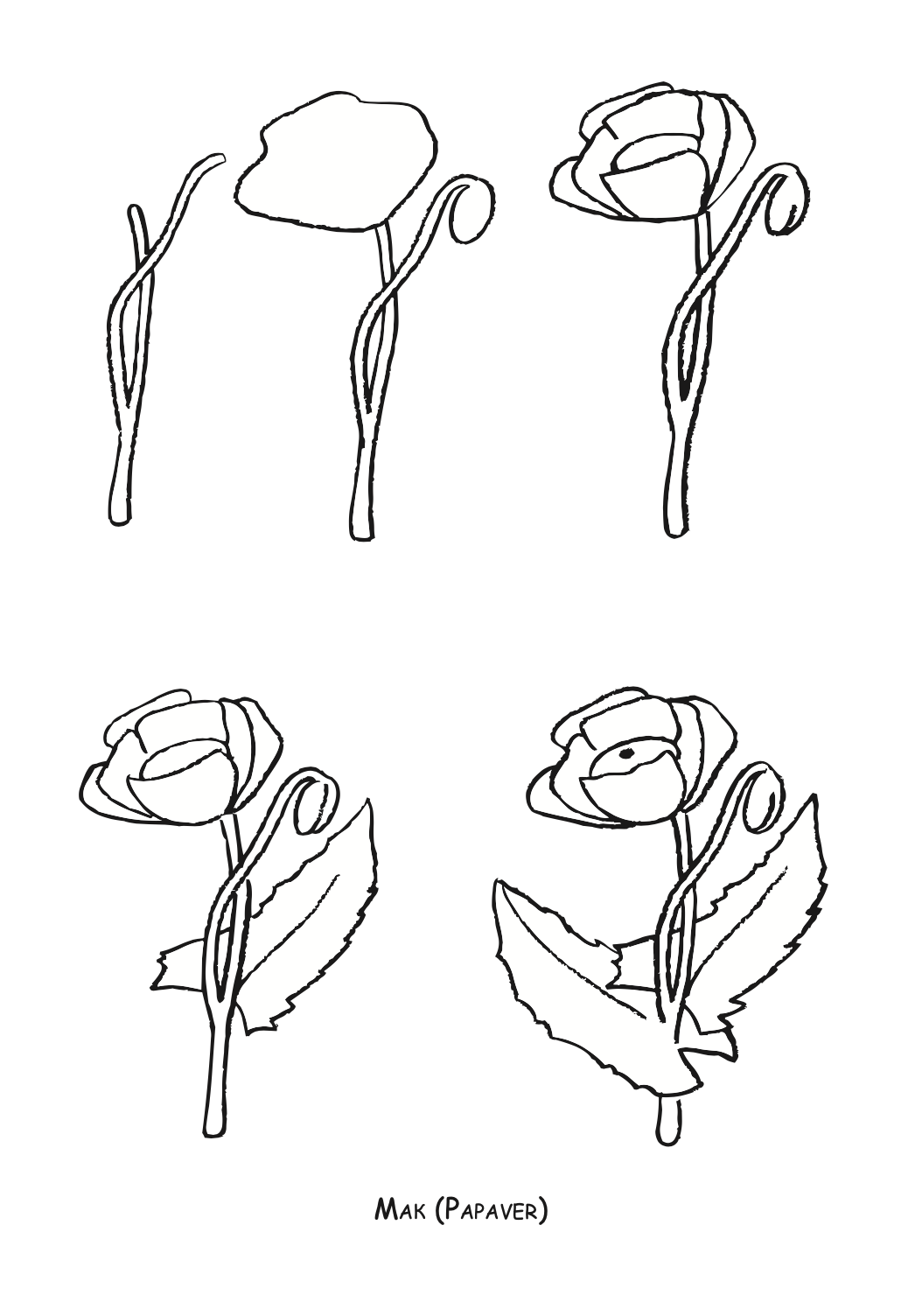 АЈДЕ ДА ЦРТАМЕ - РАСТЕНИЈА чекор по чекор - Динара Силверстова