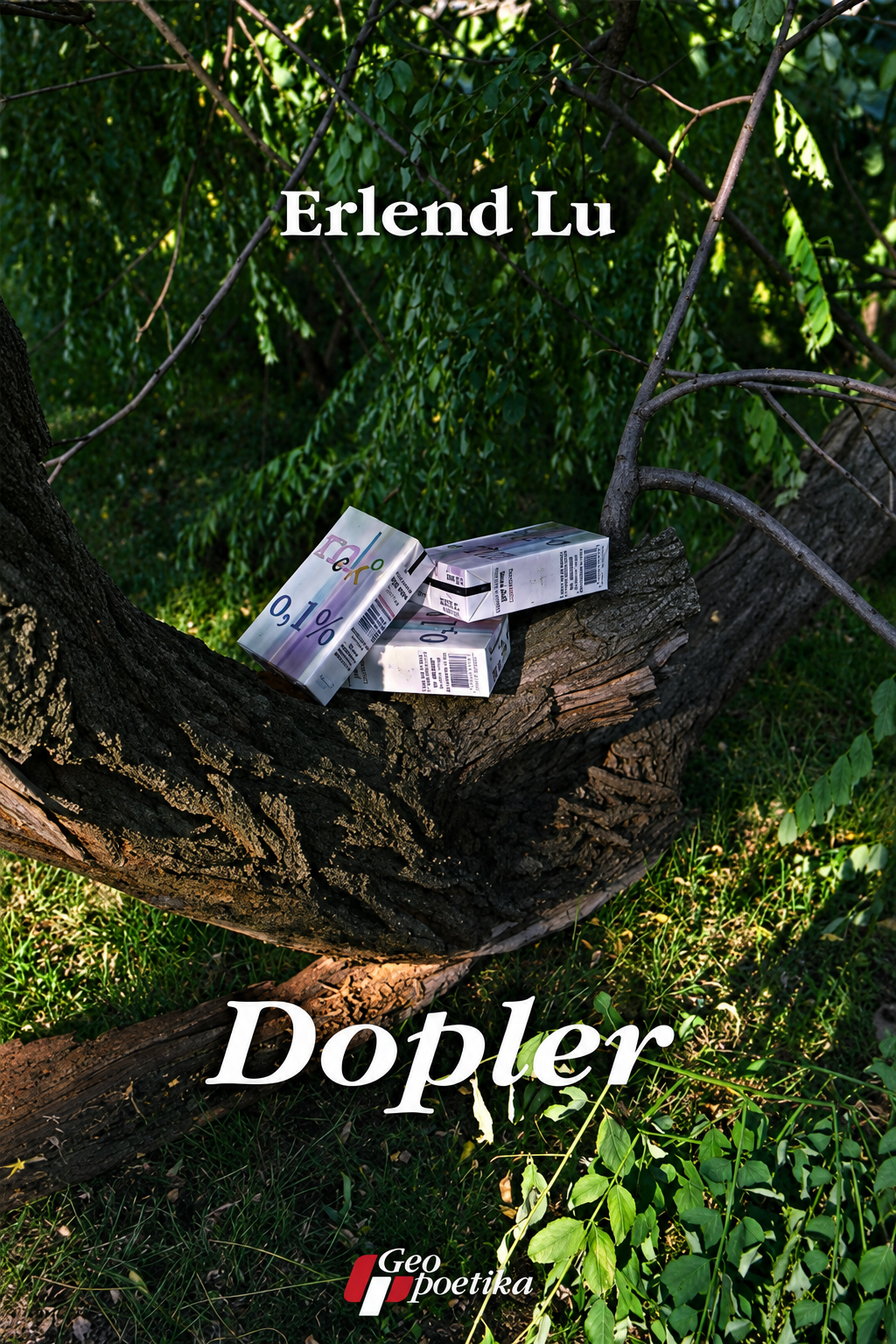 Dopler – Erlend Lu