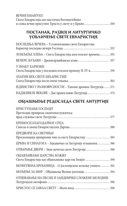 BLAGOSLOVENO CARSTVO OCA I SINA I SVETOGA DUHA Tumačenje Liturgije - Arhiepiskop Averkije taušev, sadržaj knjige