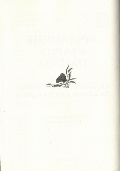 Brojanice starca Pajsija, islustarcaija iz knjige