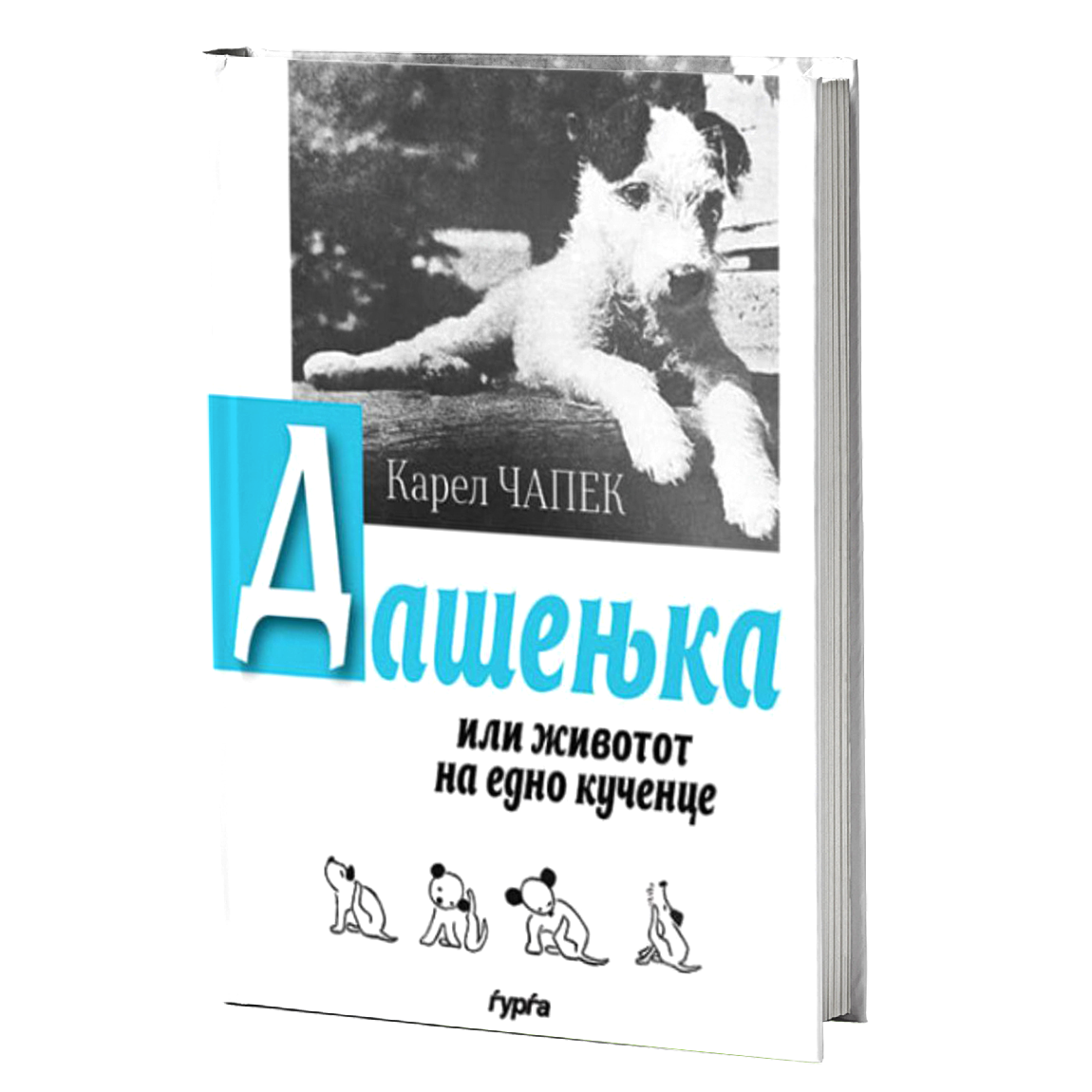 дашењка или животот на едно кученце — карел чапек mokap knjige