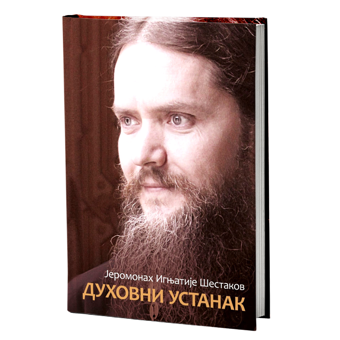 duhovni ustanak - ignjatije šestakov, mokap knjige