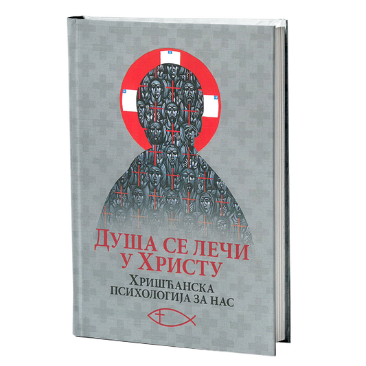 DUŠA SE LEČI U HRISTU Hrišćanska psihologija za nas - Avdejev Larše