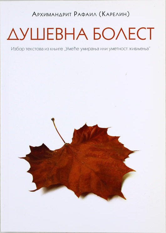 duševna bolest rafail karelin korica knjige