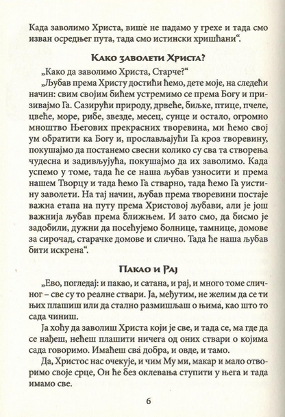 Hristova lepota spasiće svet, odlomak iz knjige