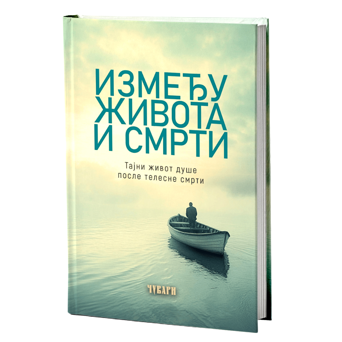 IZMEĐU ŽIVOTA I SMRTI tajni život duše posle telesne smrti