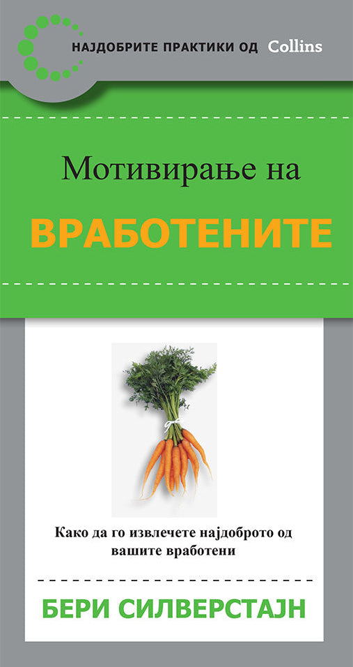 mотивирање на вработените - kако да го извлечите најдоброто од вашите вработени - бери силверстајн,предна корица на книгата