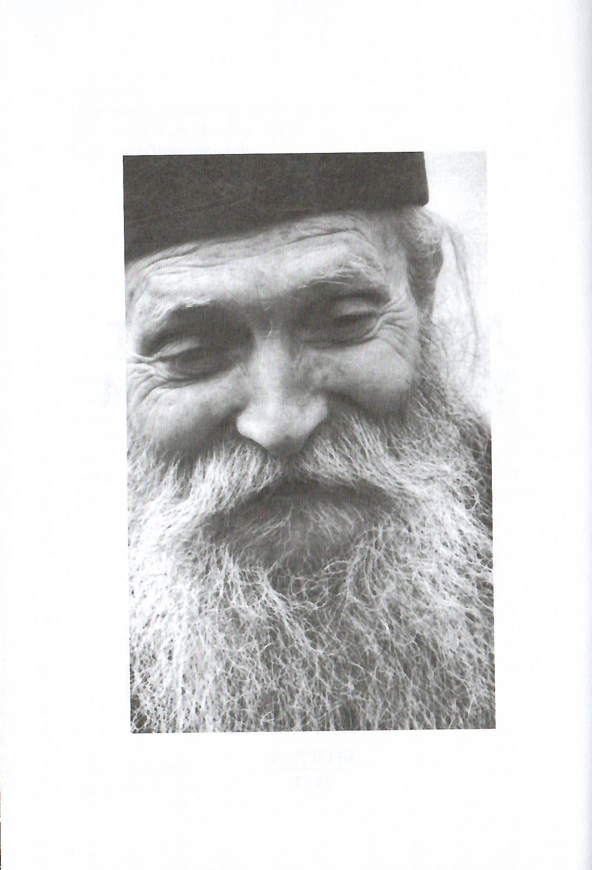 Mir i radost u Duhu svetom, tadej vitovnički odlomak iz knjige sa ilustracijom