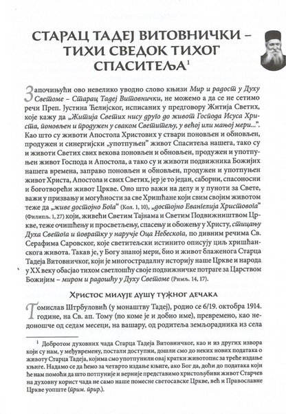Mir i radost u Duhu svetom, tadej vitovnički odlomak iz knjige