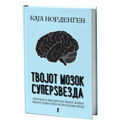 Твојот мозок суперѕвезда - Каја Норденген