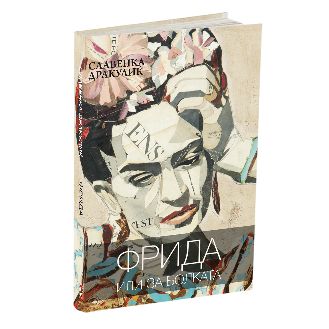фрида или за болката - славенка дракулиќ, мокап на книгата