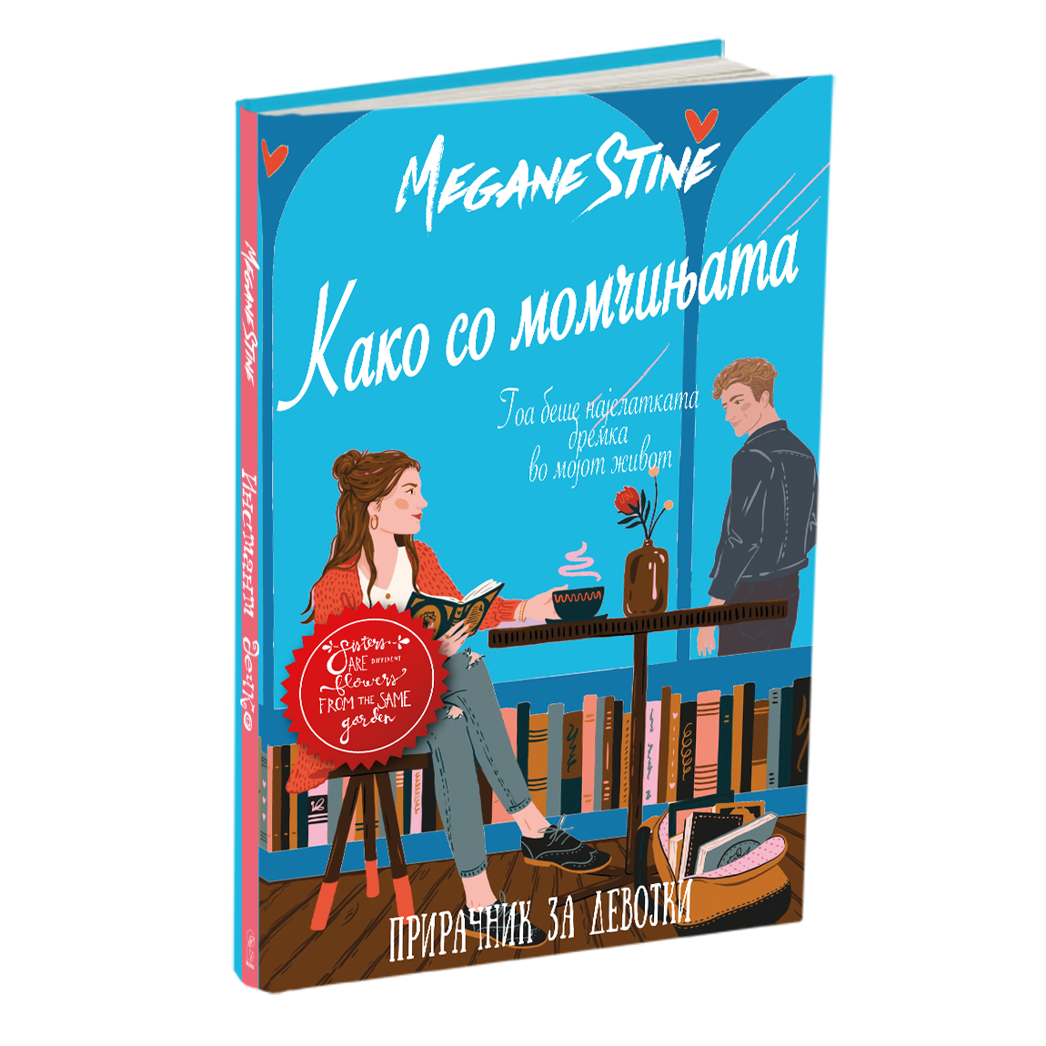 како со момчињата - мери кејт & ешли, мокап на книгата