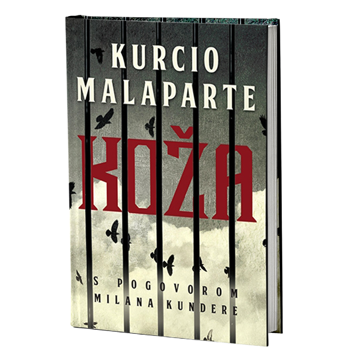 koža - kurcio malaprte, mokap knjige