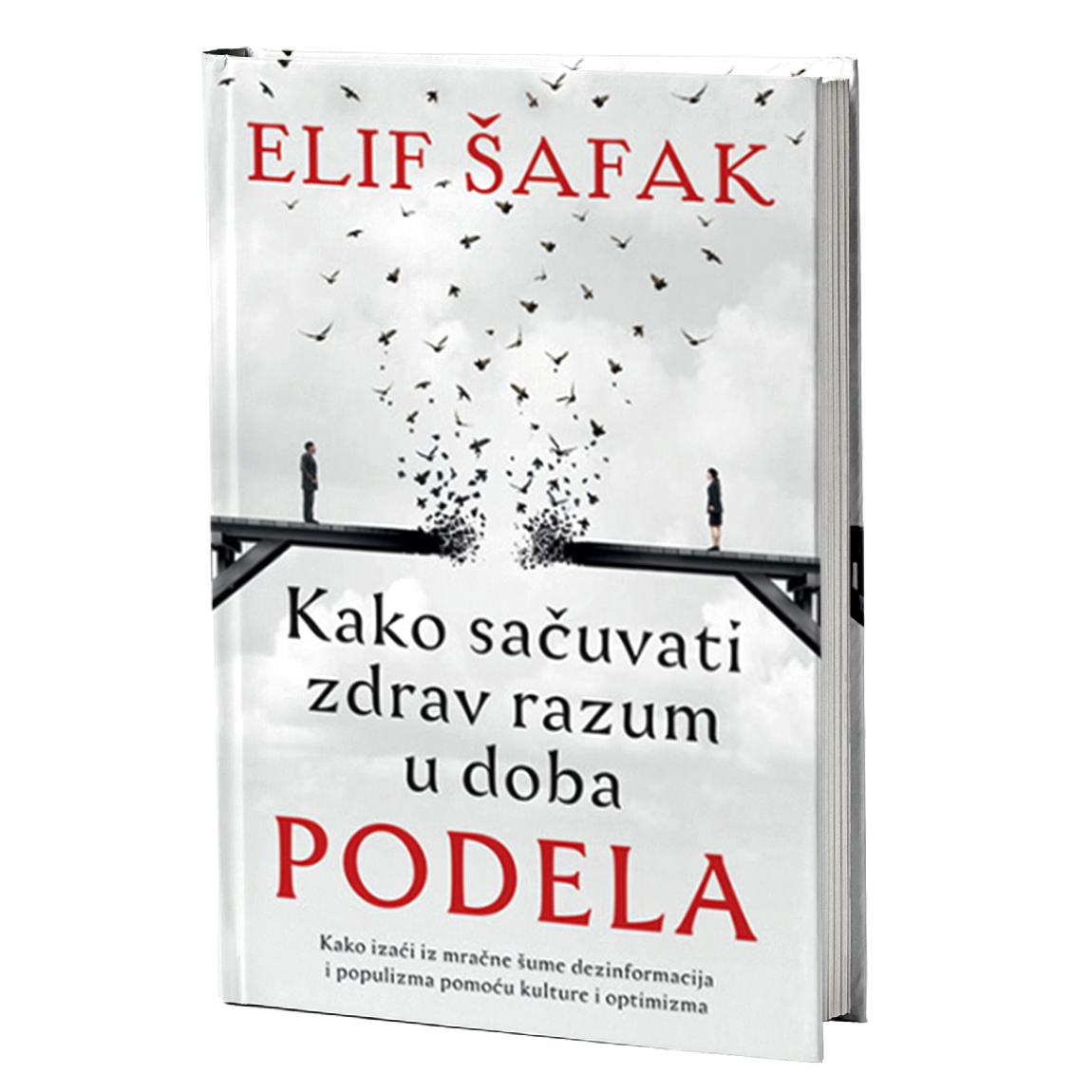 KAKO SAČUVATI ZDRAV RAZUM U DOBA PODELA - Elif Šafak