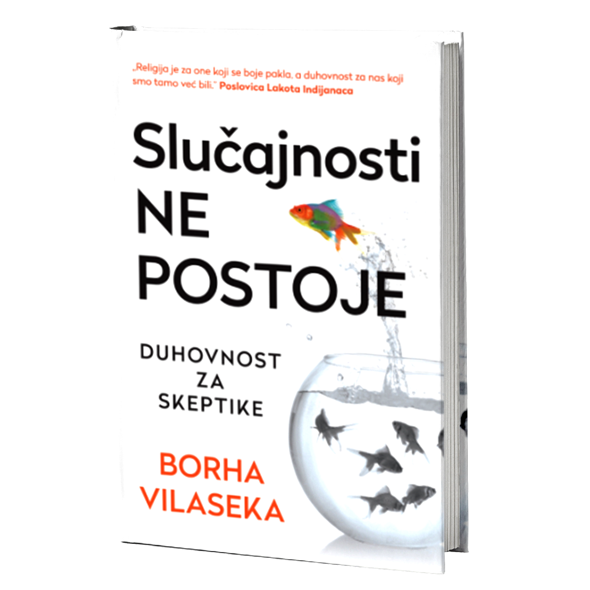 slučajnosti ne postoje  - borha vilaseka, mokap knjige