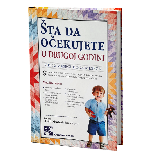šta da očekujete u drugoj godini - šeron mejzel, hajdi murkof, mokap knjige