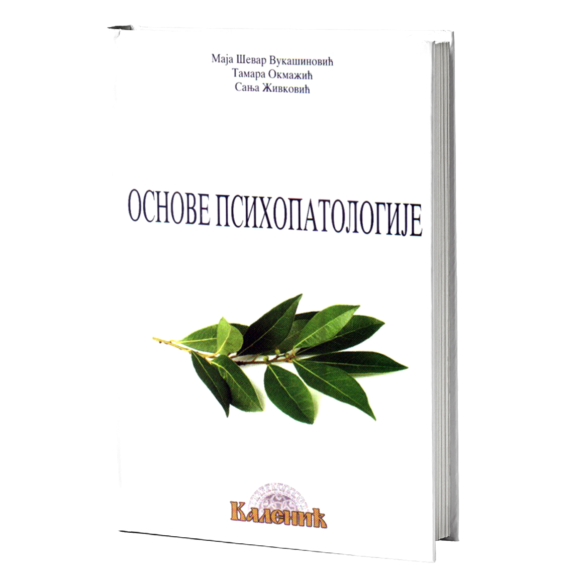 osnovе psihopatologije - maja vukašinović, tamara okmažić, sanja živković, mokap knjige