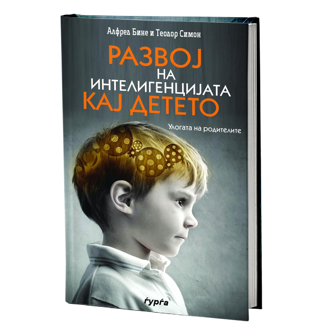 Развој на интелигенцијата кај детето — Алфред Бине, Теодор Симон