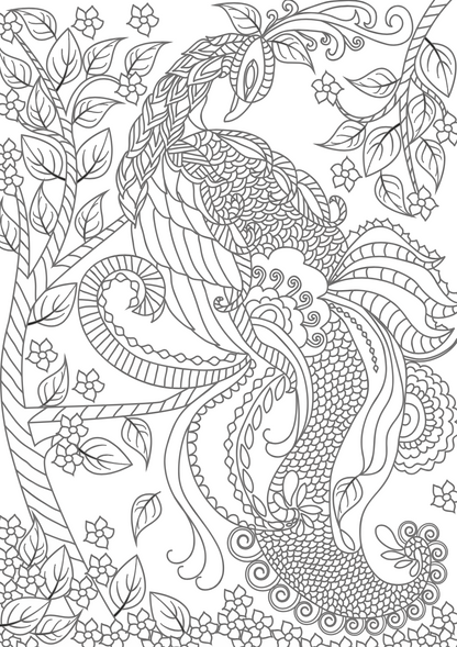 Adult Colouring Book - BLOSSOM - Креативна Боенка за возрасни