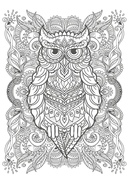 Adult Colouring Book - BLOSSOM - Креативна Боенка за возрасни