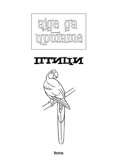 ајде да цртаме - птици чекор по чекор - динара силверстова,текстуален одломок од книгата