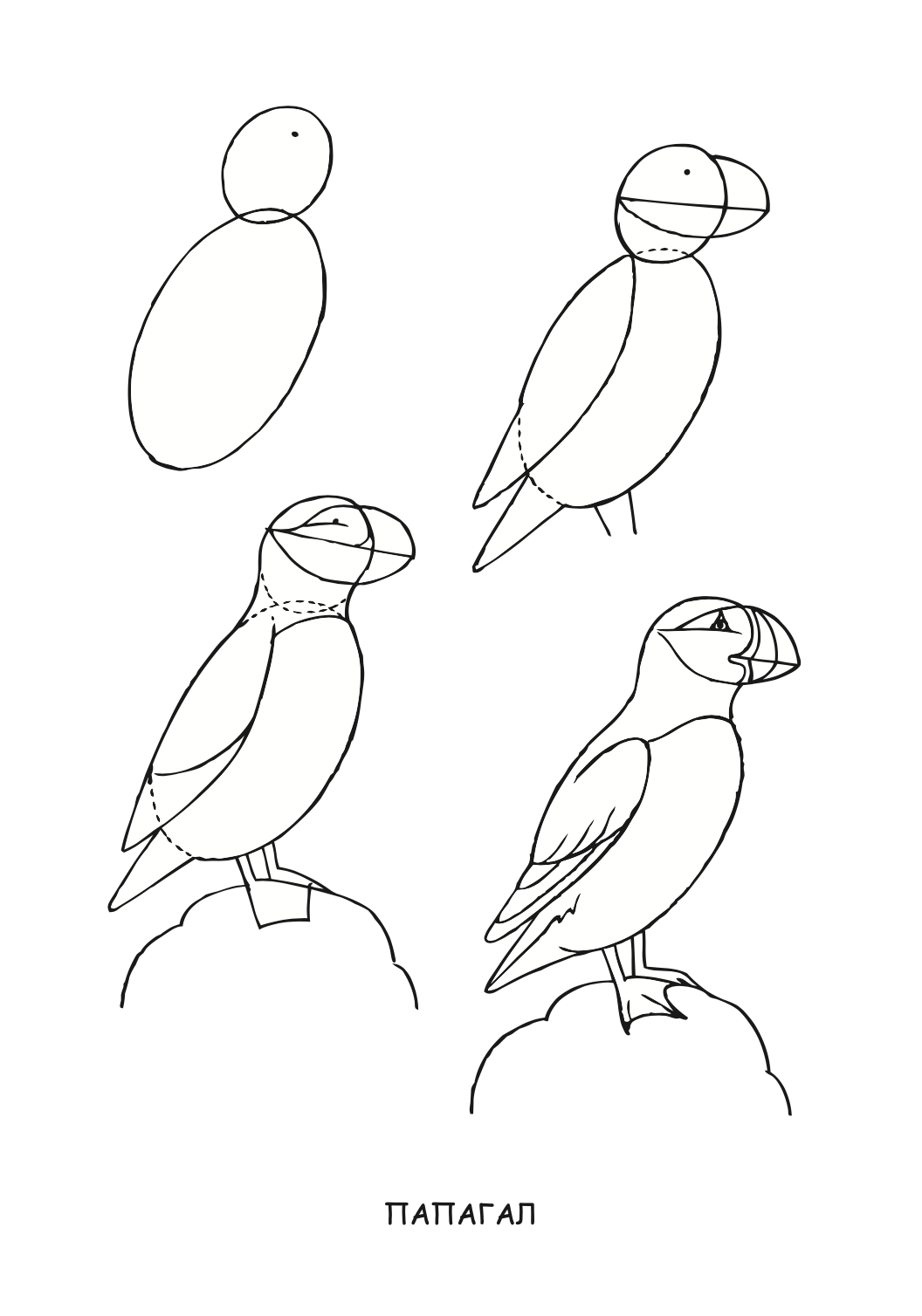 ајде да цртаме - птици чекор по чекор - динара силверстова,текстуален одломок од книгата