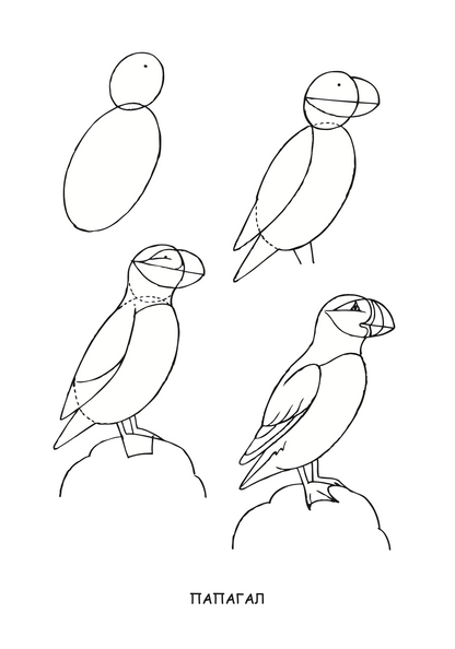 ајде да цртаме - птици чекор по чекор - динара силверстова,текстуален одломок од книгата