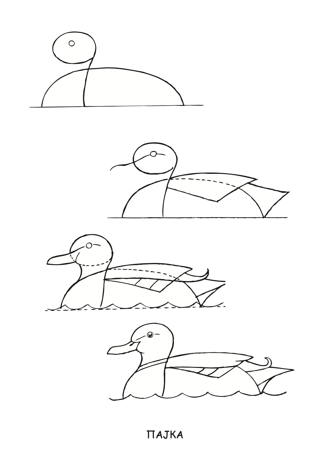 ајде да цртаме - птици чекор по чекор - динара силверстова,текстуален одломок од книгата