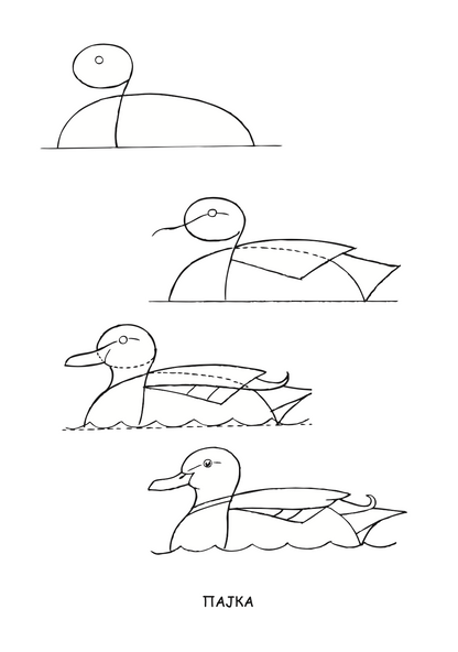 ајде да цртаме - птици чекор по чекор - динара силверстова,текстуален одломок од книгата