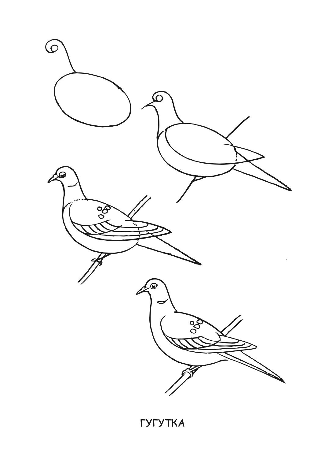 ајде да цртаме - птици чекор по чекор - динара силверстова,текстуален одломок од книгата