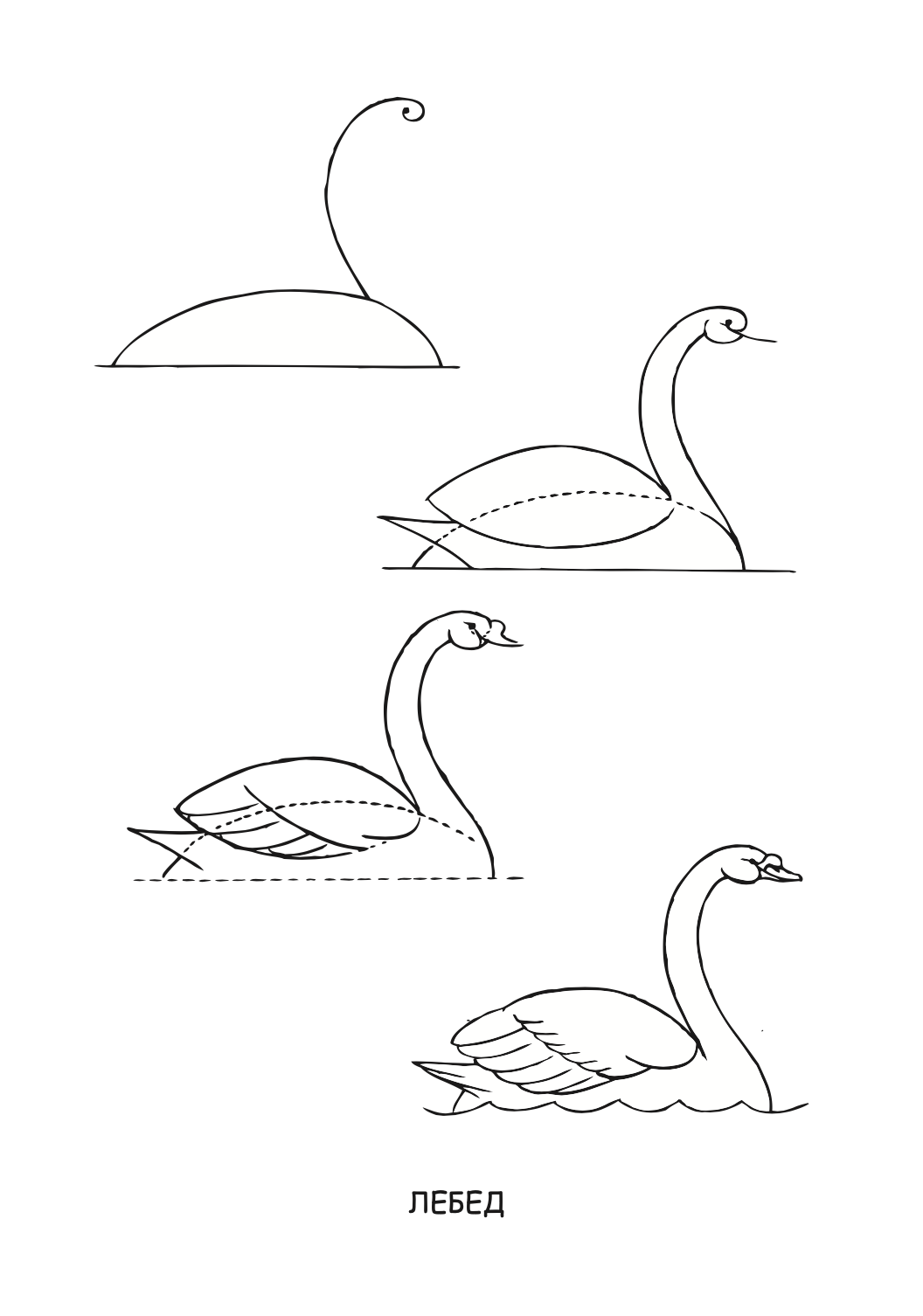 ајде да цртаме - птици чекор по чекор - динара силверстова,текстуален одломок од книгата