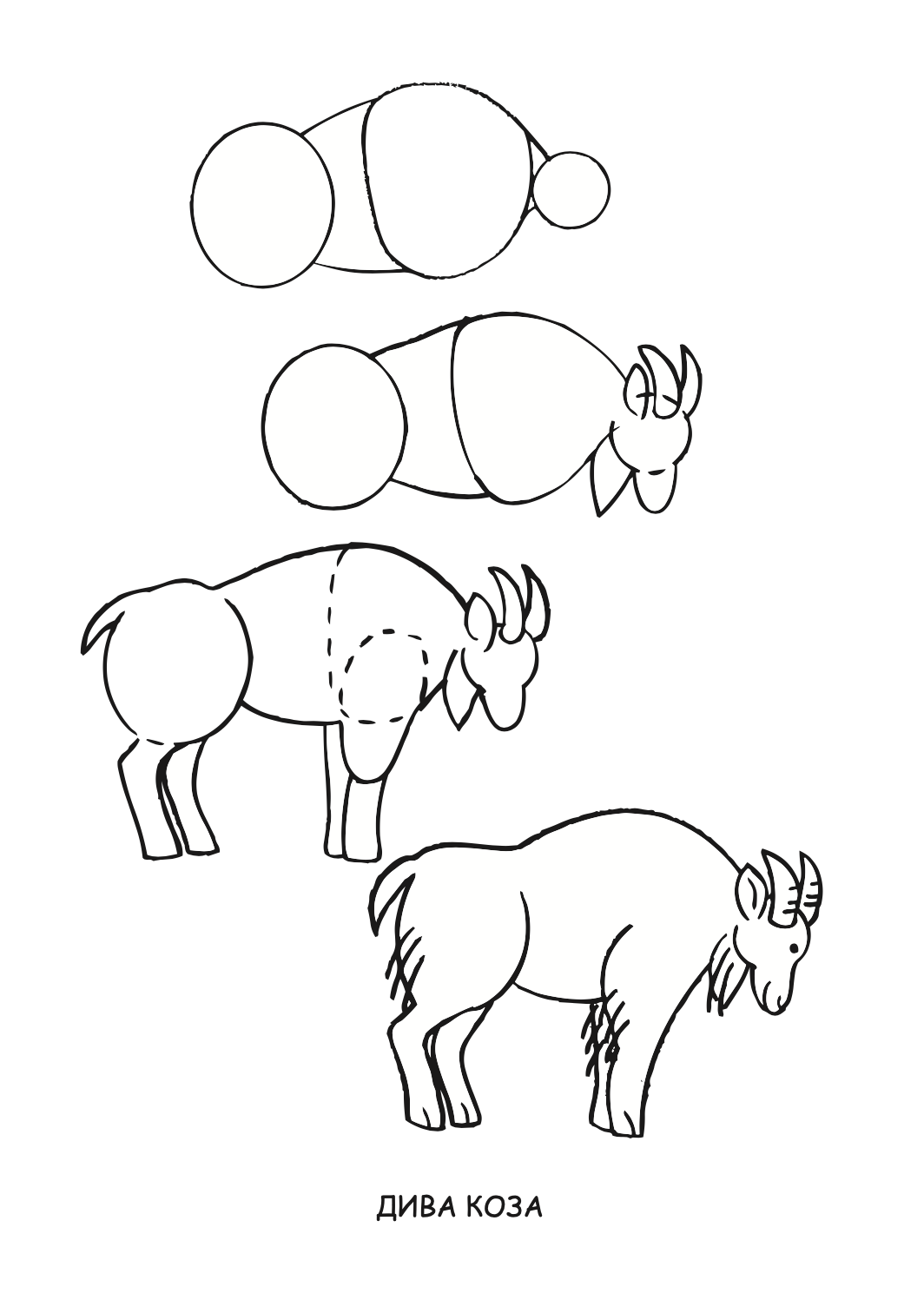 ајде да цртаме - животни чекор по чекор - динара силверстова,текстуален одломок од книгата