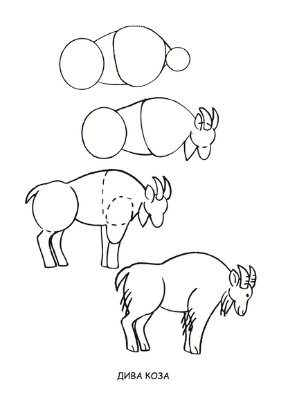 ајде да цртаме - животни чекор по чекор - динара силверстова,текстуален одломок од книгата