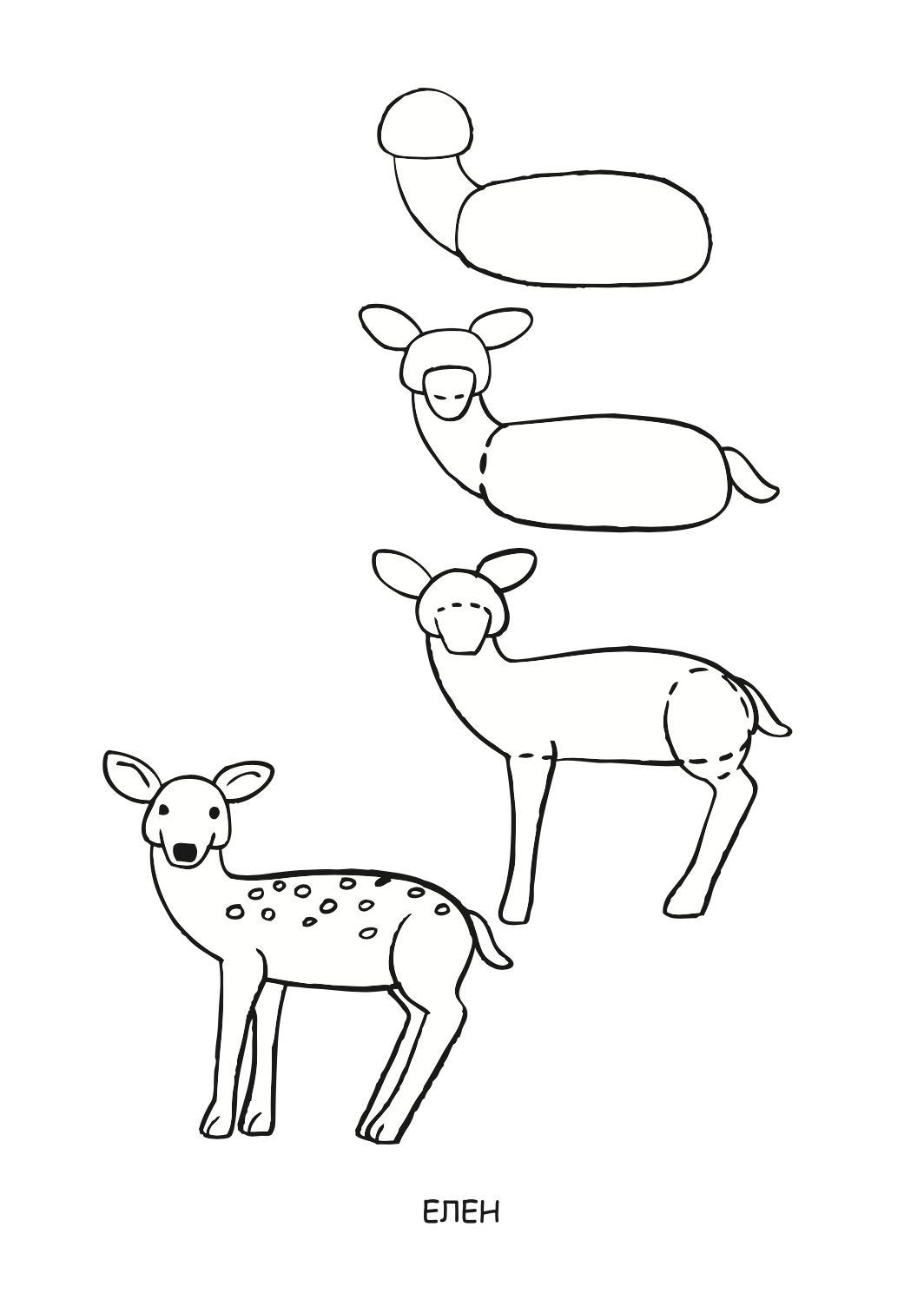 ајде да цртаме - животни чекор по чекор - динара силверстова,текстуален одломок од книгата