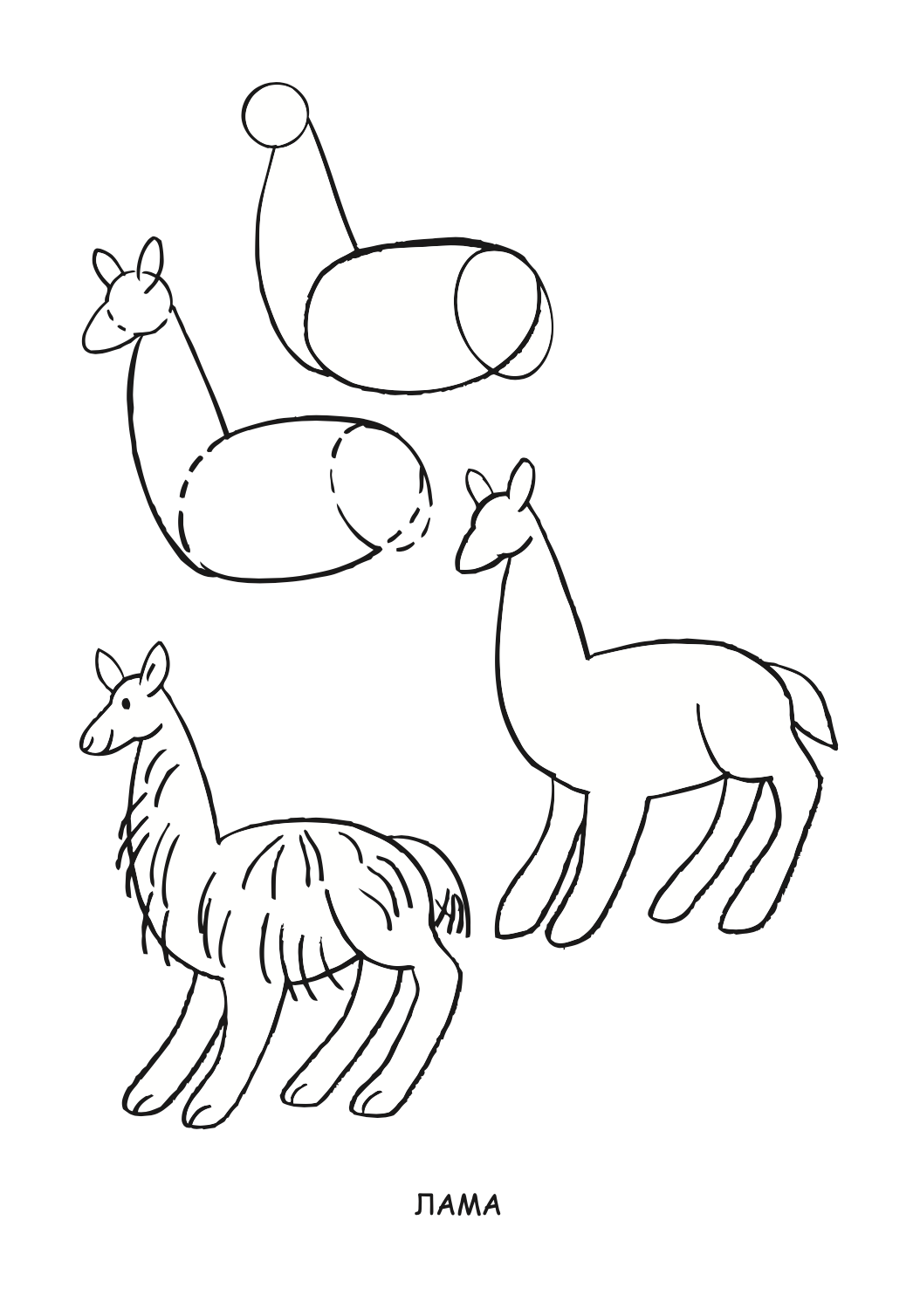 ајде да цртаме - животни чекор по чекор - динара силверстова,текстуален одломок од книгата