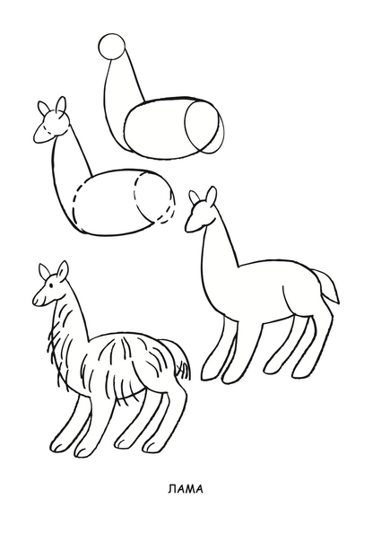 ајде да цртаме - животни чекор по чекор - динара силверстова,текстуален одломок од книгата