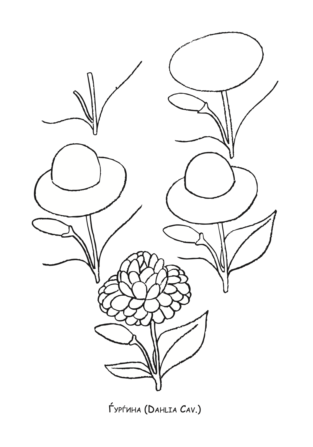 ајде да цртаме - цвеќе чекор по чекор - динара силверстова, боенка
