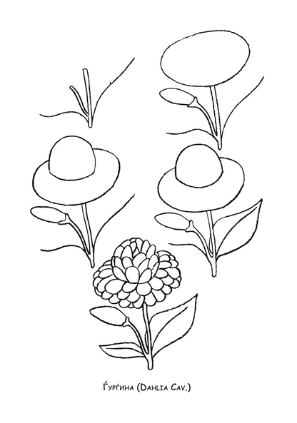 ајде да цртаме - авиони чекор по чекор - динара силверстова,текстуален одломок од книгата