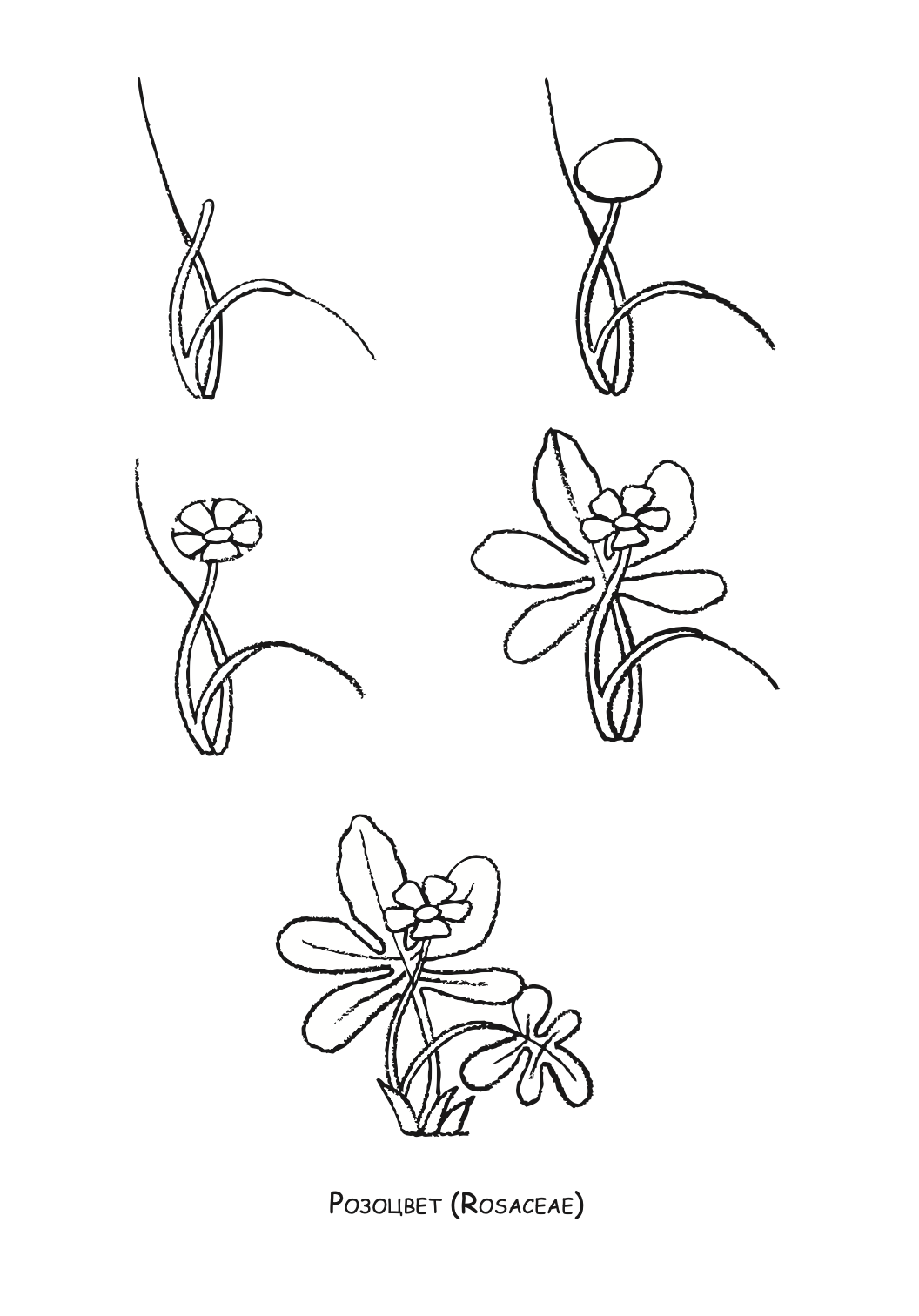 ајде да цртаме - авиони чекор по чекор - динара силверстова,текстуален одломок од книгата