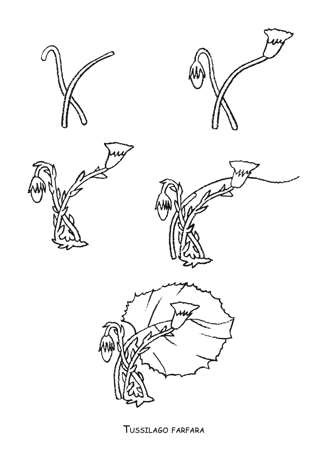 ајде да цртаме - авиони чекор по чекор - динара силверстова,текстуален одломок од книгата