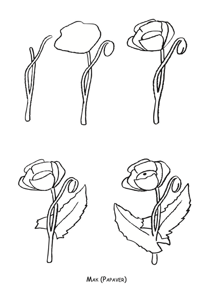 ајде да цртаме - авиони чекор по чекор - динара силверстова,текстуален одломок од книгата