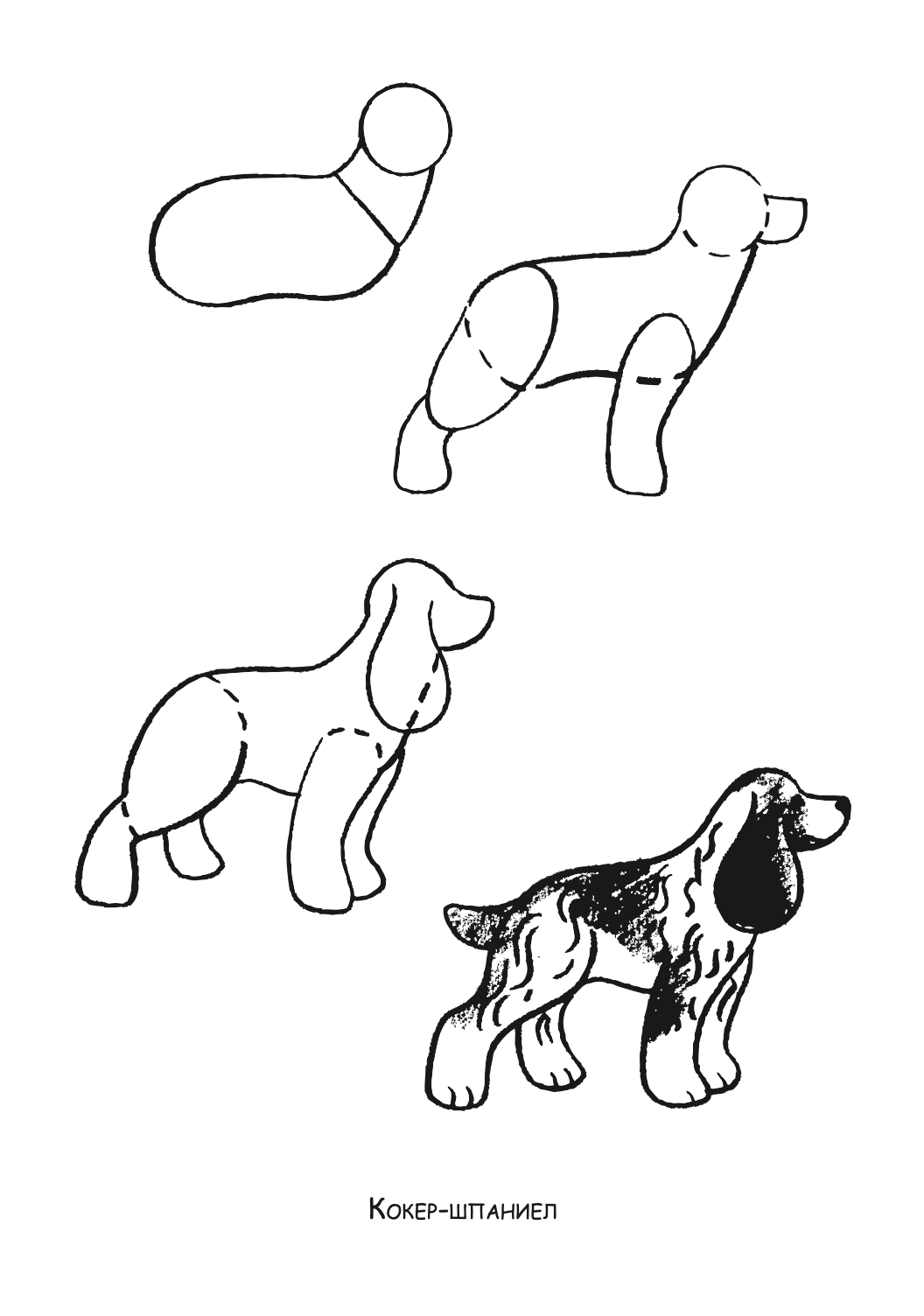 ајде да цртаме - кучиња и мачиња чекор по чекор - динара силверстова,текстуален одломок од книгата