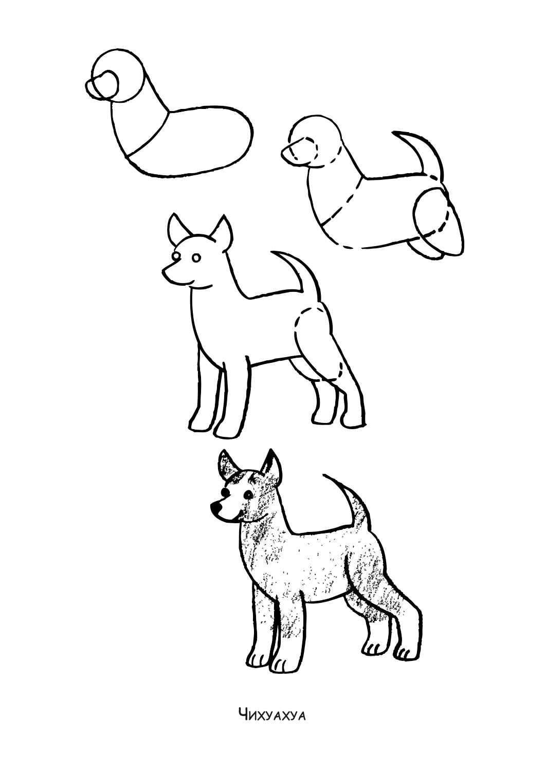 ајде да цртаме - кучиња и мачиња чекор по чекор - динара силверстова,текстуален одломок од книгата