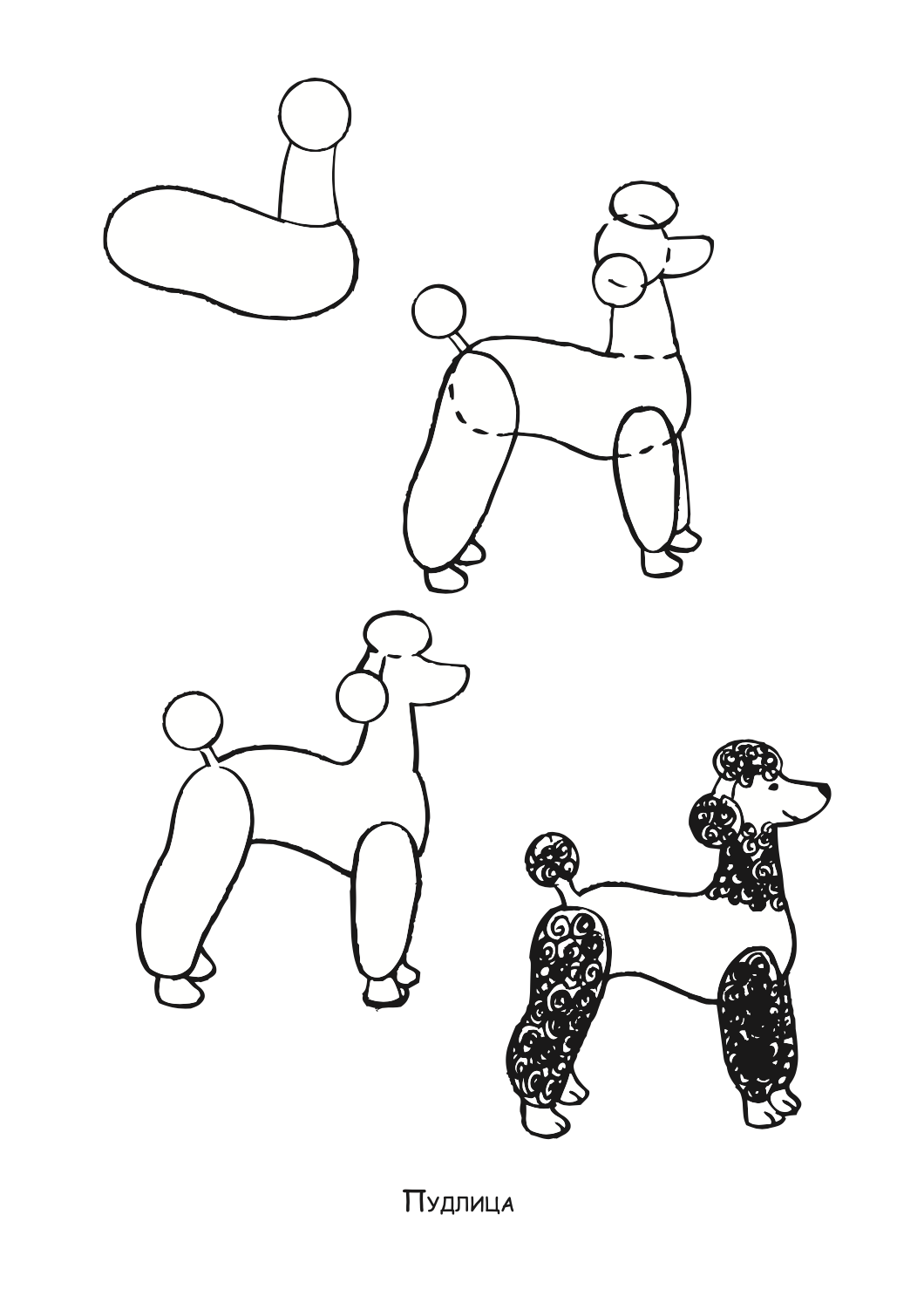 ајде да цртаме - кучиња и мачиња чекор по чекор - динара силверстова,текстуален одломок од книгата