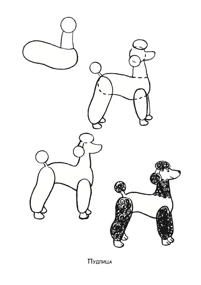 ајде да цртаме - кучиња и мачиња чекор по чекор - динара силверстова,текстуален одломок од книгата