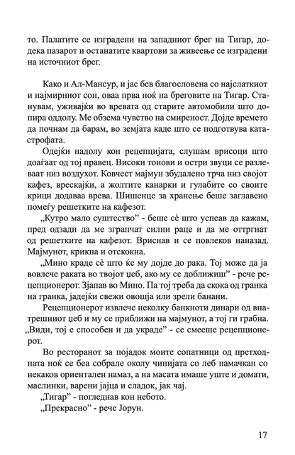 сто и еден ден - багдадски дневник - осне сејерштад,текстуален одломок од книгата
