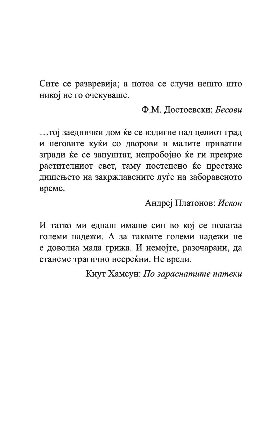 овде нема да има чуда - горан ферчец, текстуален одломок од книгата