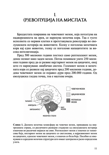 Твојот мозок суперѕвезда - Каја Норденген